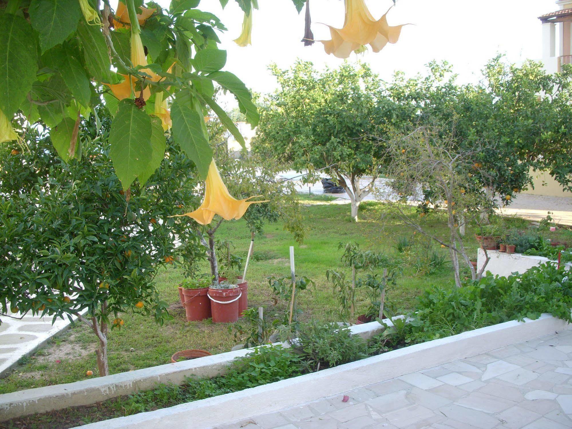 Likourgos Beach Κάβος Εξωτερικό φωτογραφία